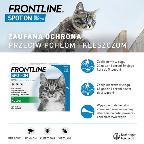 frontline-spot-on-koty-05-ml-x-3-pipety-krople-na-pchly-i-kleszcze.jpg