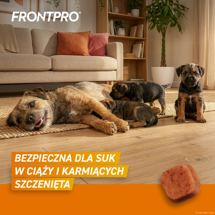 FRONTPRO_M_Secondary_images_4.png