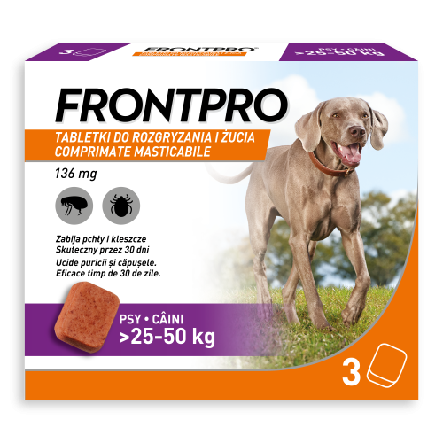 4. FRONTPRO_XL.png