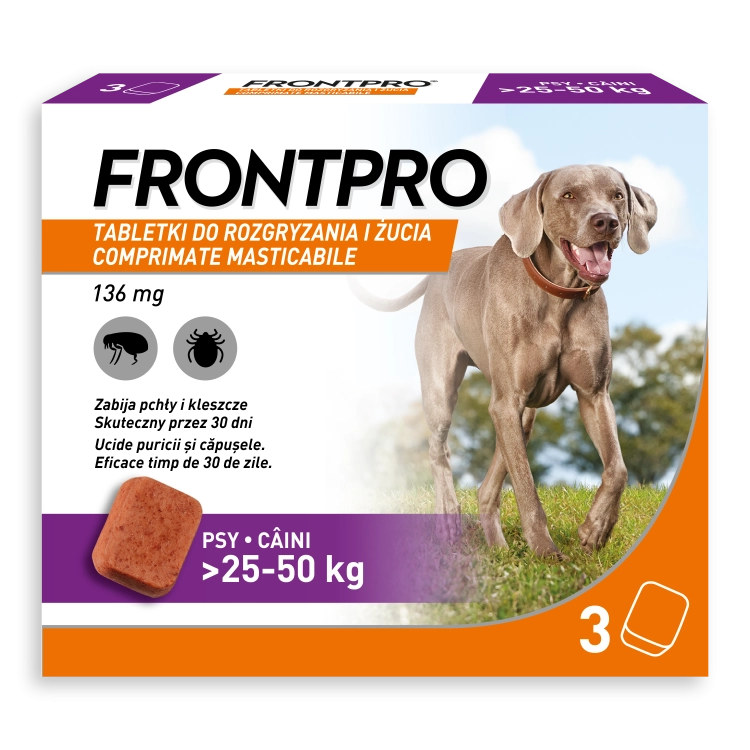 4. FRONTPRO_XL.png