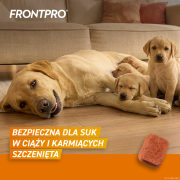 FRONTPRO_XL_Secondary_images_4.png