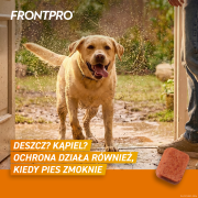 FRONTPRO_XL_Secondary_images_3.png