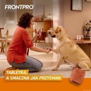 FRONTPRO_XL_Secondary_images_1.png