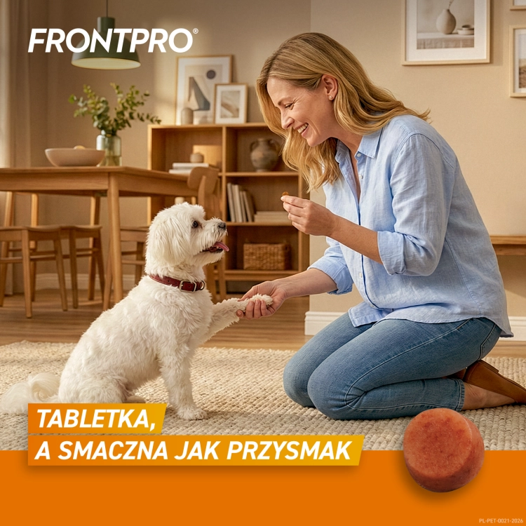 FRONTPRO_S_Secondary_images_1.png
