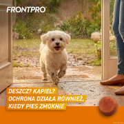 FRONTPRO_S_Secondary_images_3.png