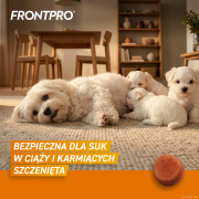 FRONTPRO_S_Secondary_images_4.png