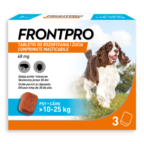 3. FRONTPRO_L.png
