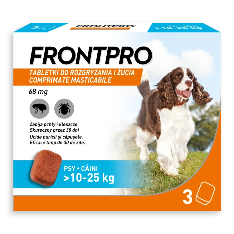 3. FRONTPRO_L.png