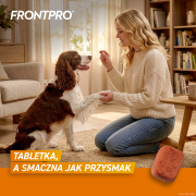 FRONTPRO_L_Secondary_images_1.png