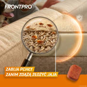FRONTPRO_L_Secondary_images_2.png
