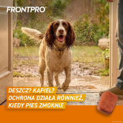 FRONTPRO_L_Secondary_images_3.png