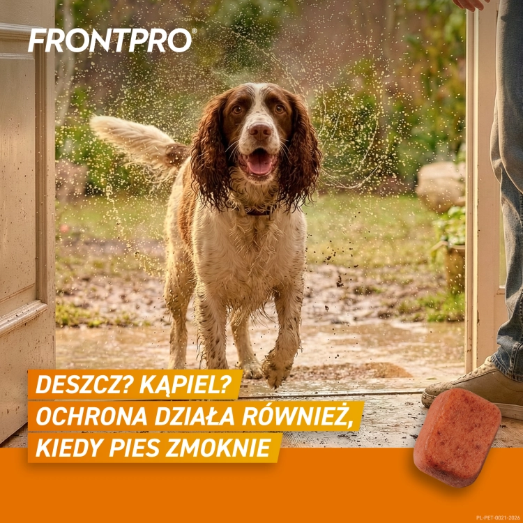 FRONTPRO_L_Secondary_images_3.png