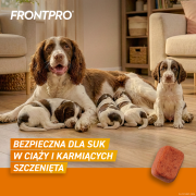 FRONTPRO_L_Secondary_images_4.png