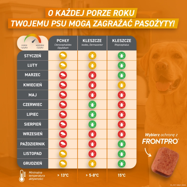 FRONTPRO_Tabela_Kalendarz_0.png