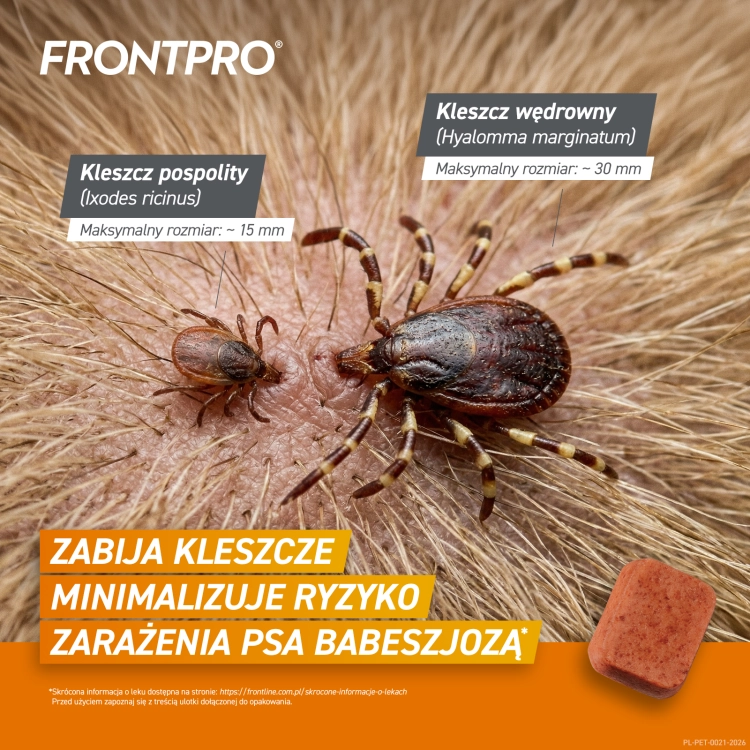 FRONTPRO_Kleszcze_0.png
