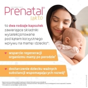 Prenatal-Lakto-60-kaps-30-kaps-30-kaps-672c68c39b94a.jpg